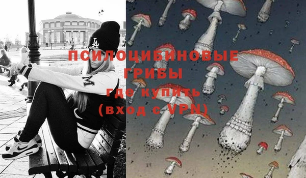 mdma Новозыбков
