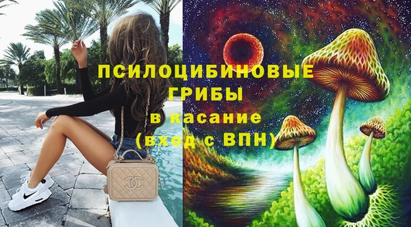 таблы Новодвинск