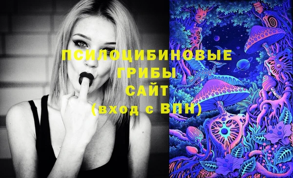 mdma Новозыбков